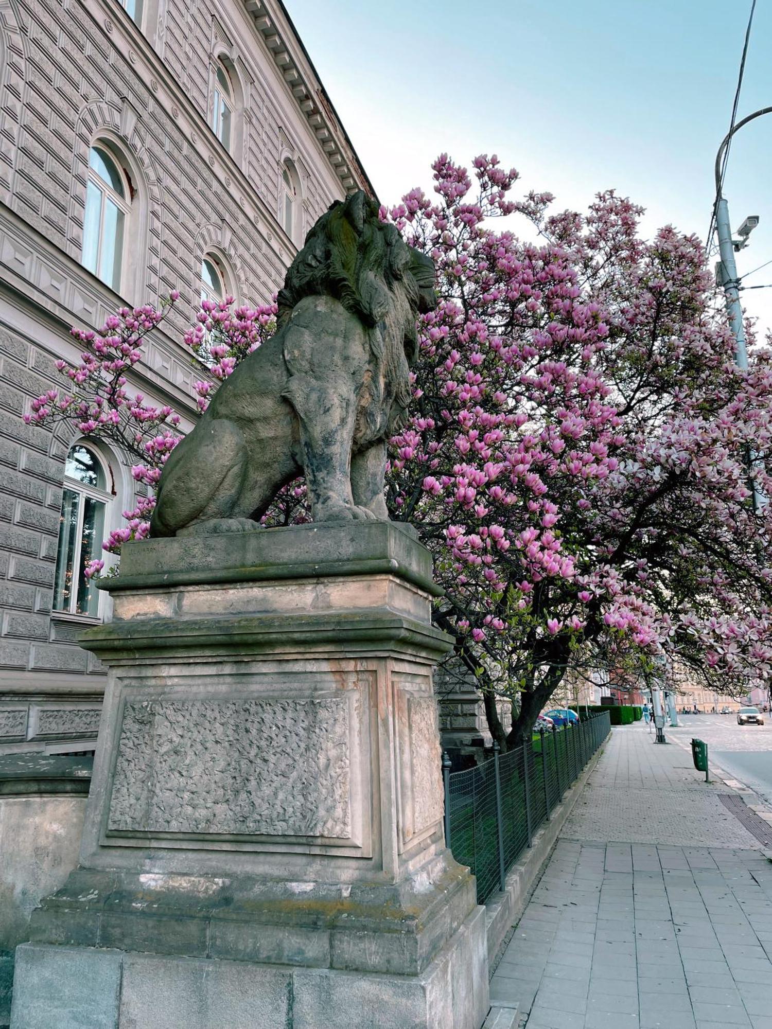 Pension Moravia Olomouc Exterior photo
