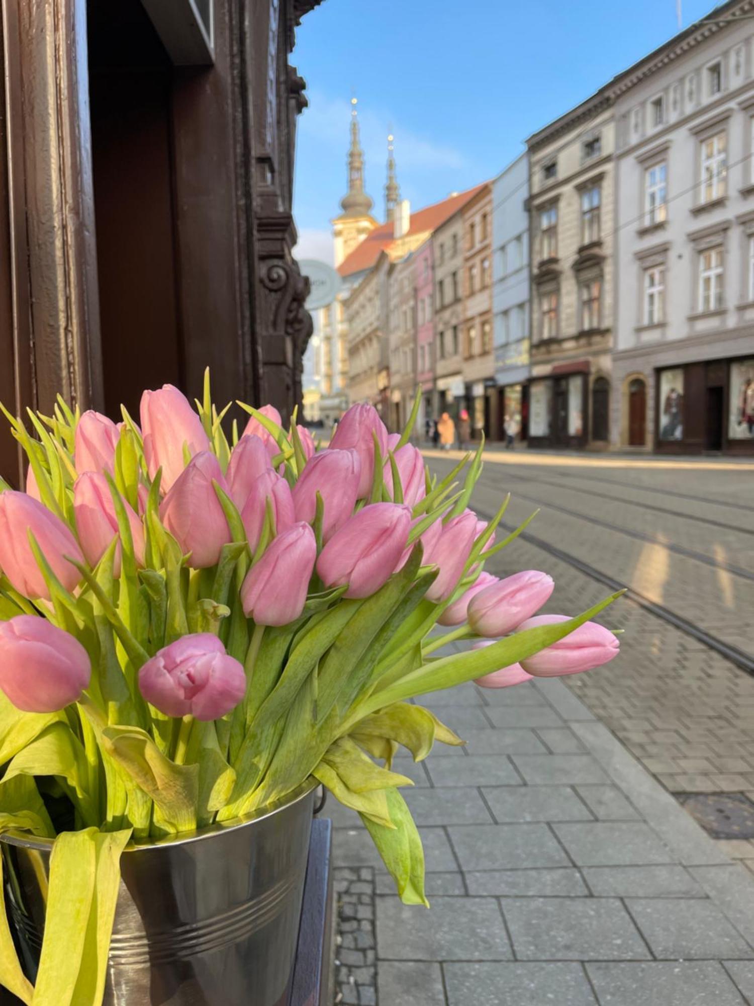 Pension Moravia Olomouc Exterior photo